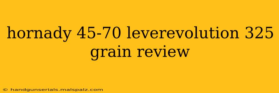 hornady 45-70 leverevolution 325 grain review