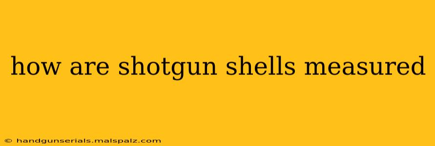 how are shotgun shells measured