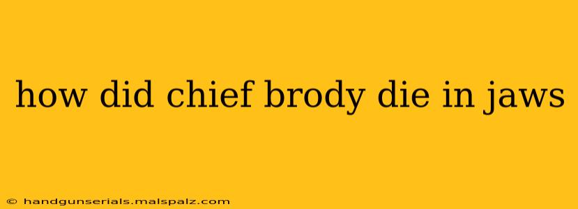 how did chief brody die in jaws