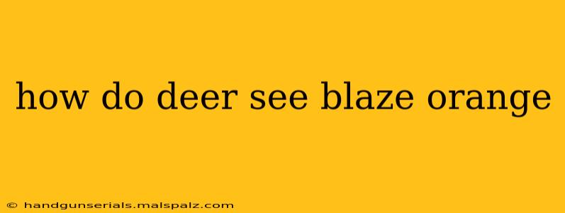 how do deer see blaze orange