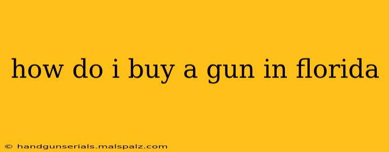 how do i buy a gun in florida