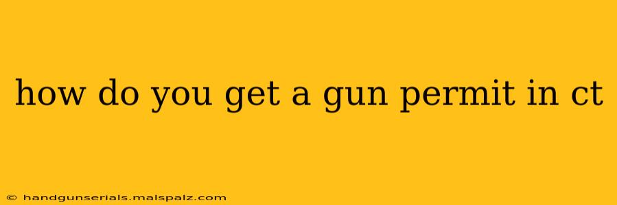 how do you get a gun permit in ct