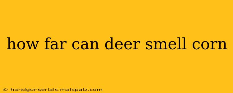 how far can deer smell corn