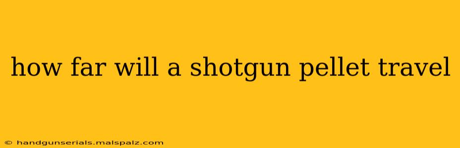 how far will a shotgun pellet travel