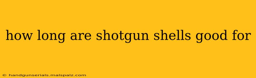 how long are shotgun shells good for