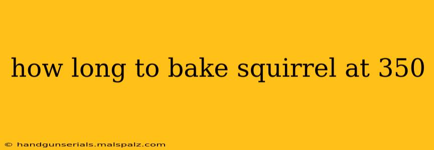 how long to bake squirrel at 350