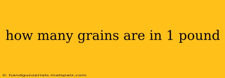 how many grains are in 1 pound