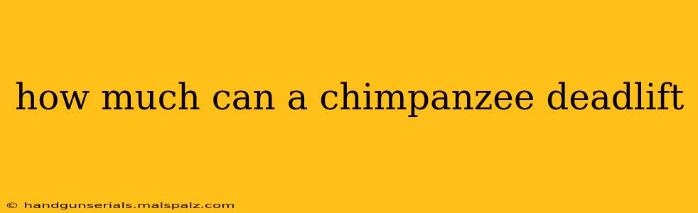 how much can a chimpanzee deadlift