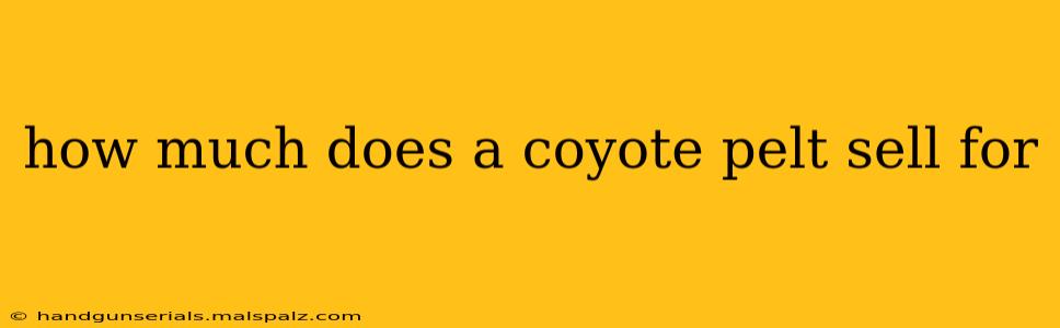 how much does a coyote pelt sell for