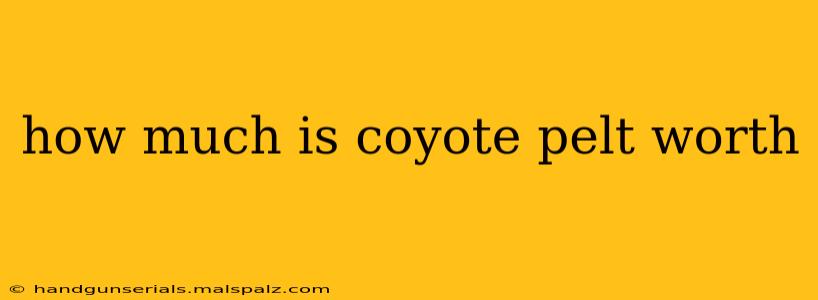 how much is coyote pelt worth