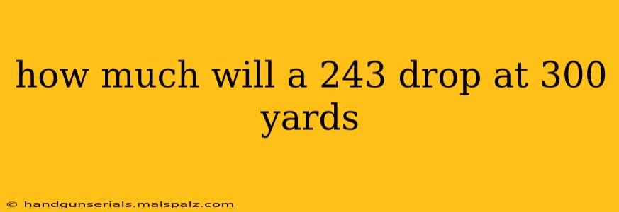 how much will a 243 drop at 300 yards