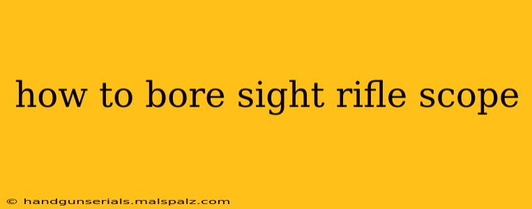 how to bore sight rifle scope