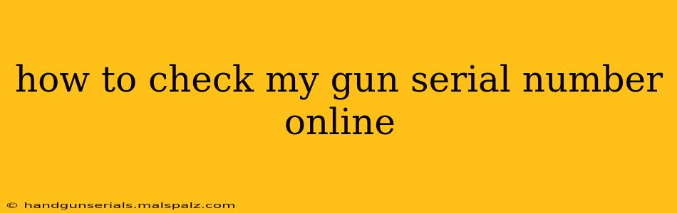 how to check my gun serial number online