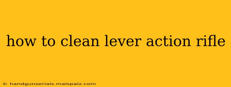 how to clean lever action rifle