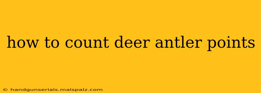 how to count deer antler points