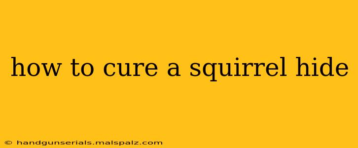 how to cure a squirrel hide