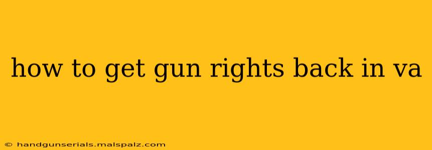 how to get gun rights back in va