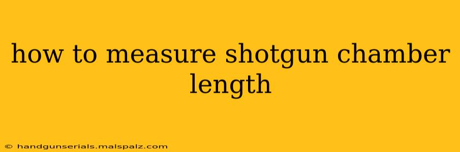 how to measure shotgun chamber length