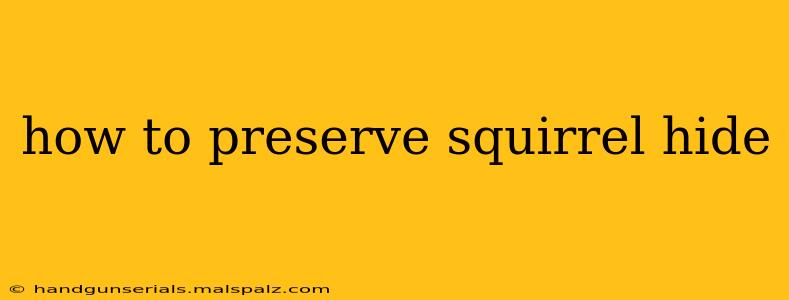 how to preserve squirrel hide