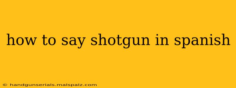 how to say shotgun in spanish