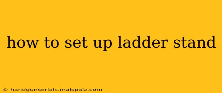 how to set up ladder stand