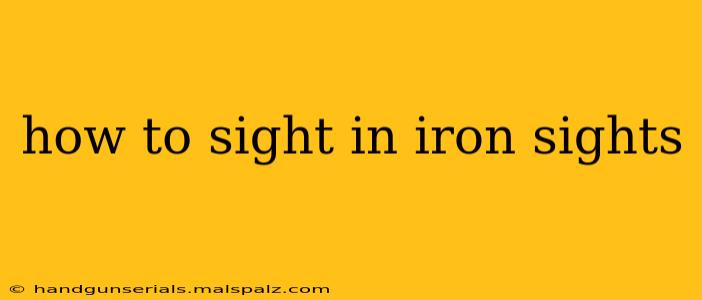 how to sight in iron sights