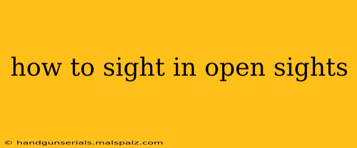 how to sight in open sights