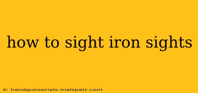 how to sight iron sights