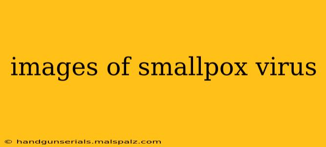 images of smallpox virus