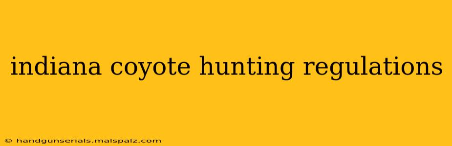 indiana coyote hunting regulations