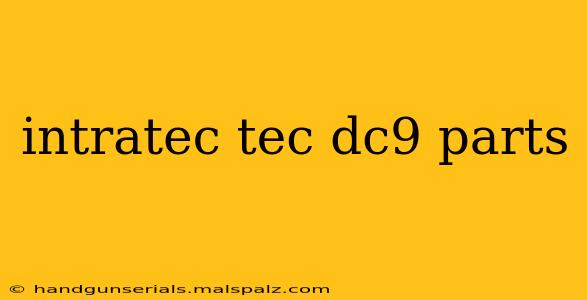 intratec tec dc9 parts