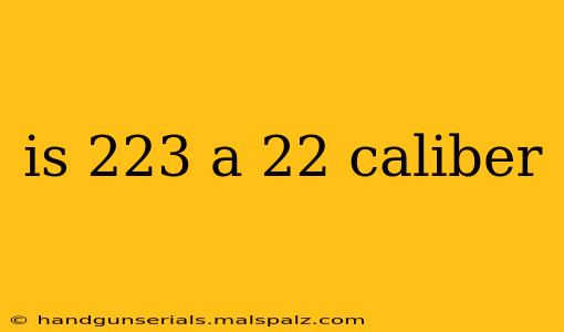 is 223 a 22 caliber