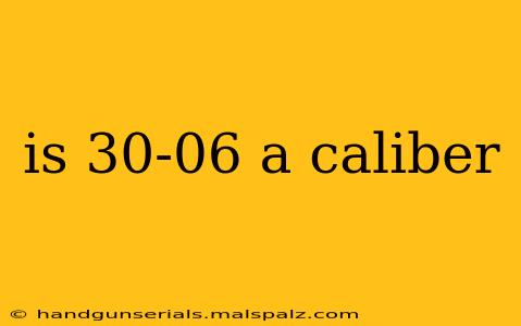 is 30-06 a caliber