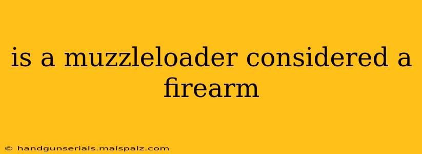 is a muzzleloader considered a firearm