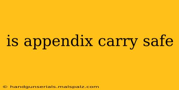 is appendix carry safe