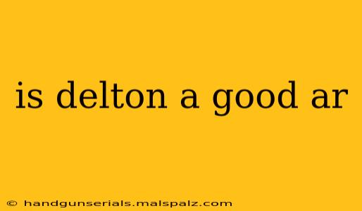 is delton a good ar