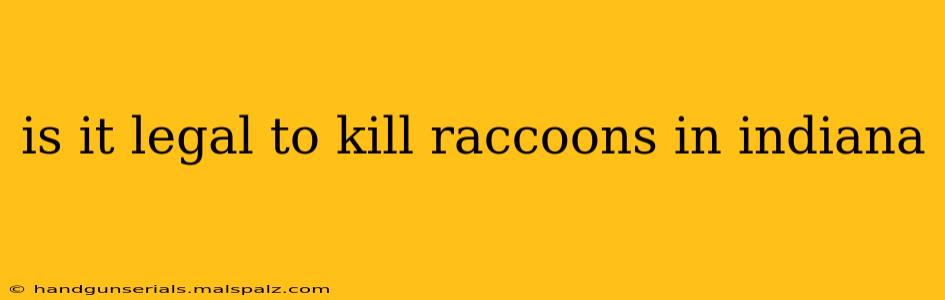 is it legal to kill raccoons in indiana