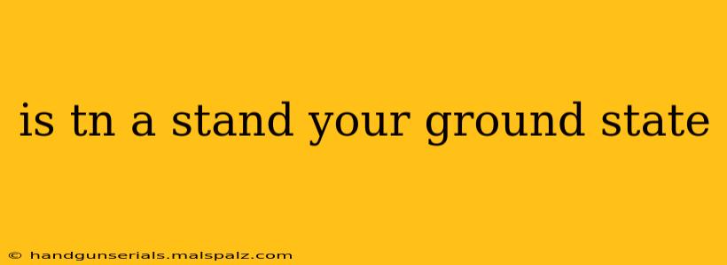 is tn a stand your ground state