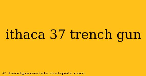 ithaca 37 trench gun