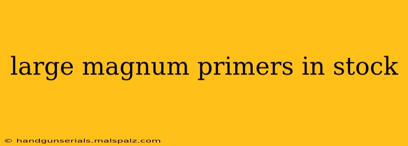 large magnum primers in stock