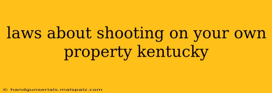 laws about shooting on your own property kentucky