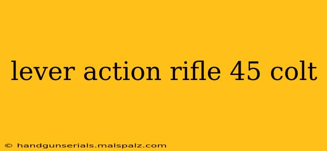 lever action rifle 45 colt