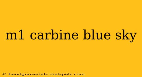 m1 carbine blue sky