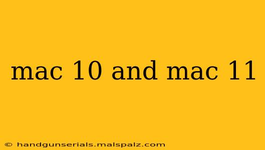 mac 10 and mac 11