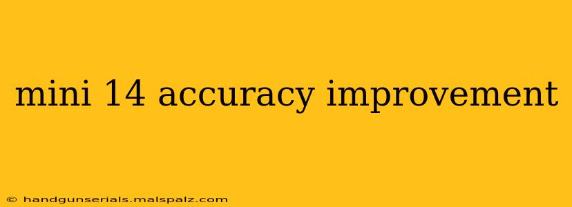 mini 14 accuracy improvement