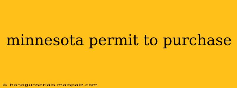 minnesota permit to purchase