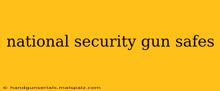 national security gun safes