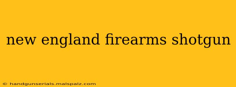 new england firearms shotgun