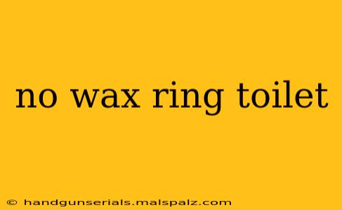 no wax ring toilet