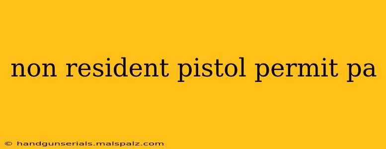 non resident pistol permit pa